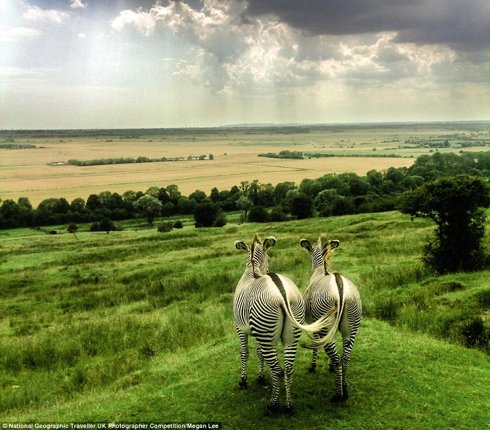 National Geographic 03