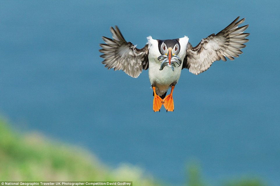 National Geographic 05