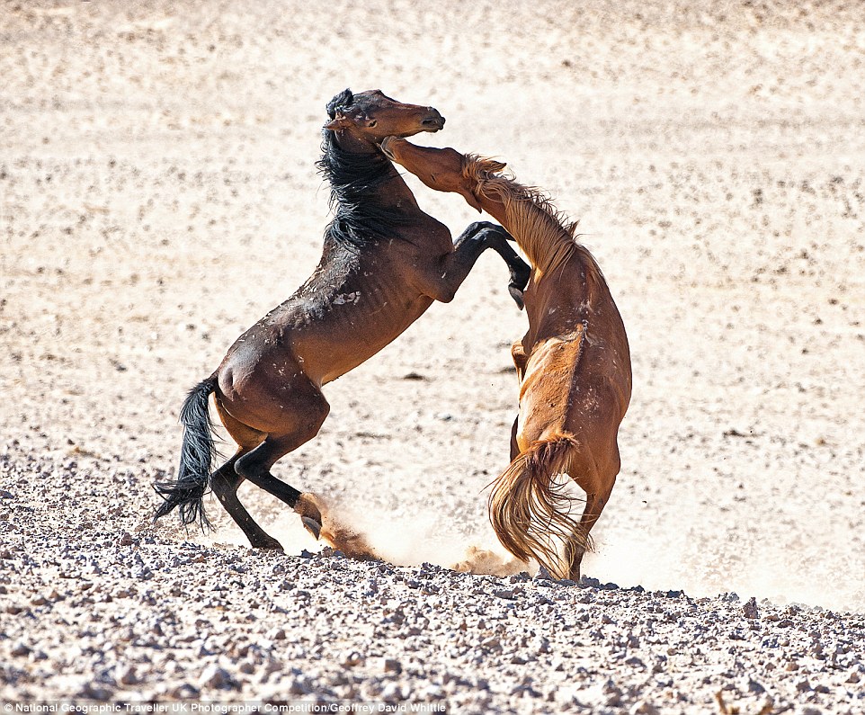 National Geographic 08