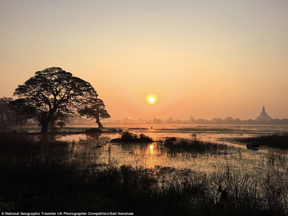 National Geographic 11