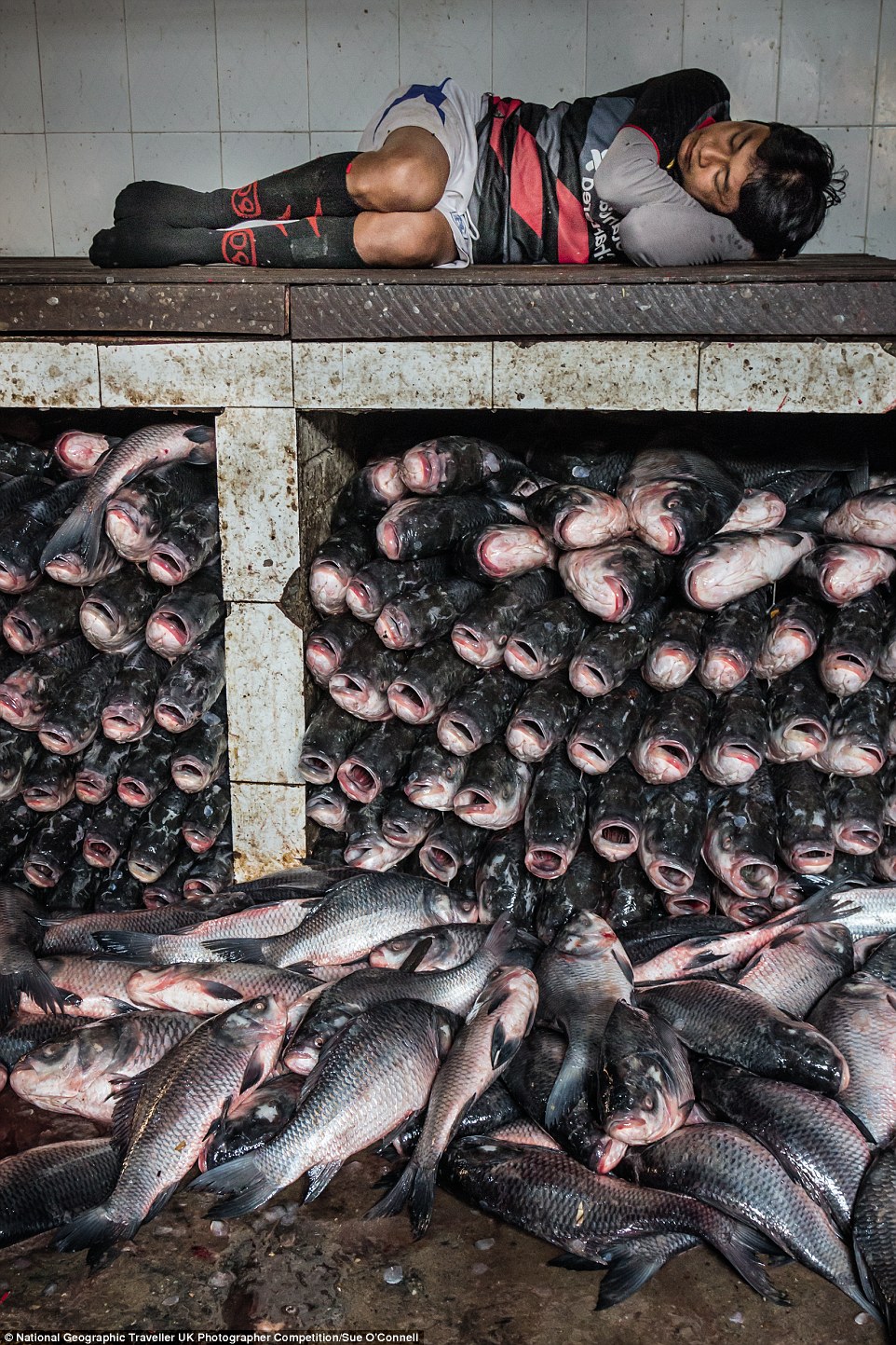 National Geographic 12