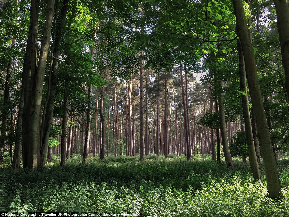 National Geographic 13