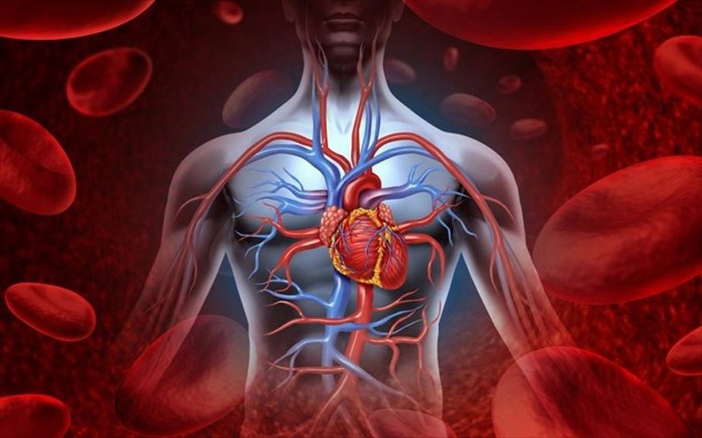 Ανθρώπινο Σώμα